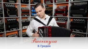 Баян Baidi