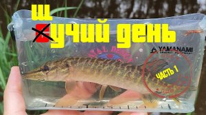 #мормышинг | Микро речка | ДА СКОЛЬКО ТУТ ЩУКИ? | Часть1 |