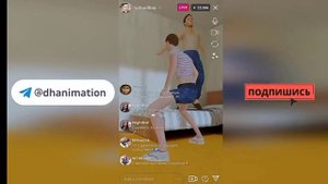 описание съел кот