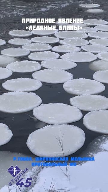 Льняные блины Курган Тобол