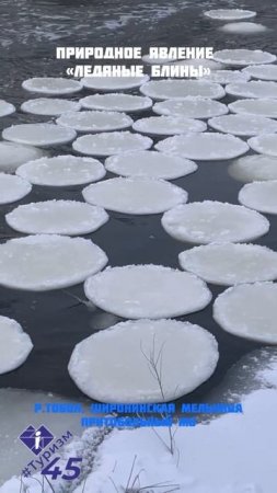 Льняные блины Курган Тобол