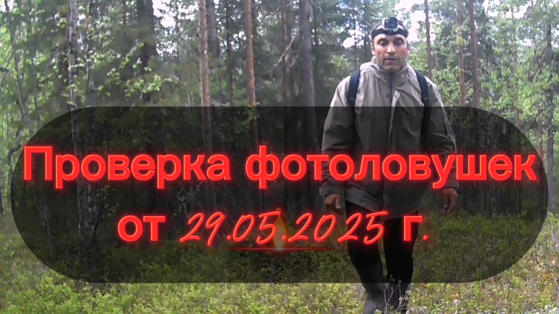 БЕГОМ НА ПРОВЕРКУ! ПРОВЕРКА ФОТОЛОВУШЕК ОТ 29.05.2025 Г.