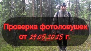 БЕГОМ НА ПРОВЕРКУ! ПРОВЕРКА ФОТОЛОВУШЕК ОТ 29.05.2025 Г.