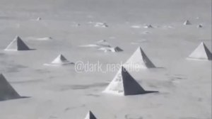 Они КонТролиРУют ЗооПарк УО сбРОД.