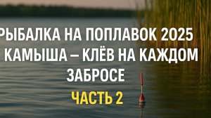 Рыбалка на поплавок 2025 у камыша — клёв на каждом забросе ЧАСТЬ 2