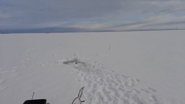 Рыбалка на Финском заливе. Отчёт за 12.02.2022. Ломоносов.