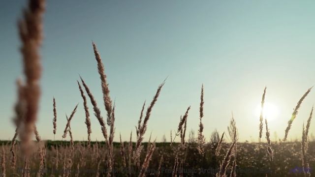 Дорога, скорость и музыка, от которой бегут мурашки! - Mind is an Ocean -- Blue Sky Moon -- Prophet