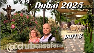 Дубай 2025 / Сафари-Парк и его обитатели