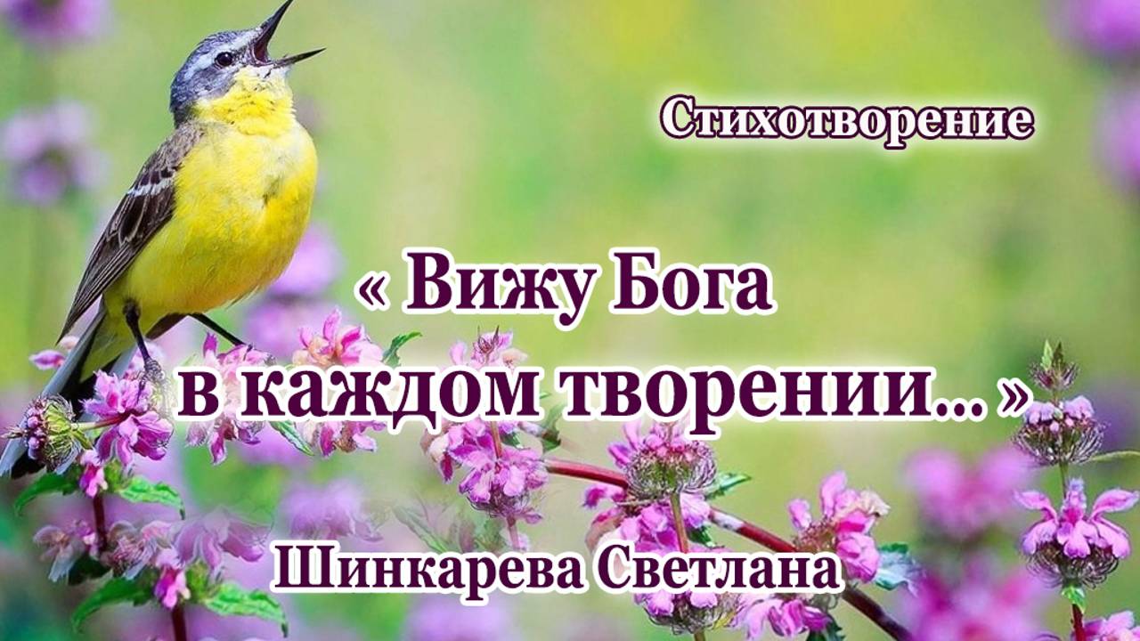 "Вижу Бога в каждом творении..." Стих, Шинкарева Светлана