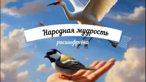 Лайфстайл