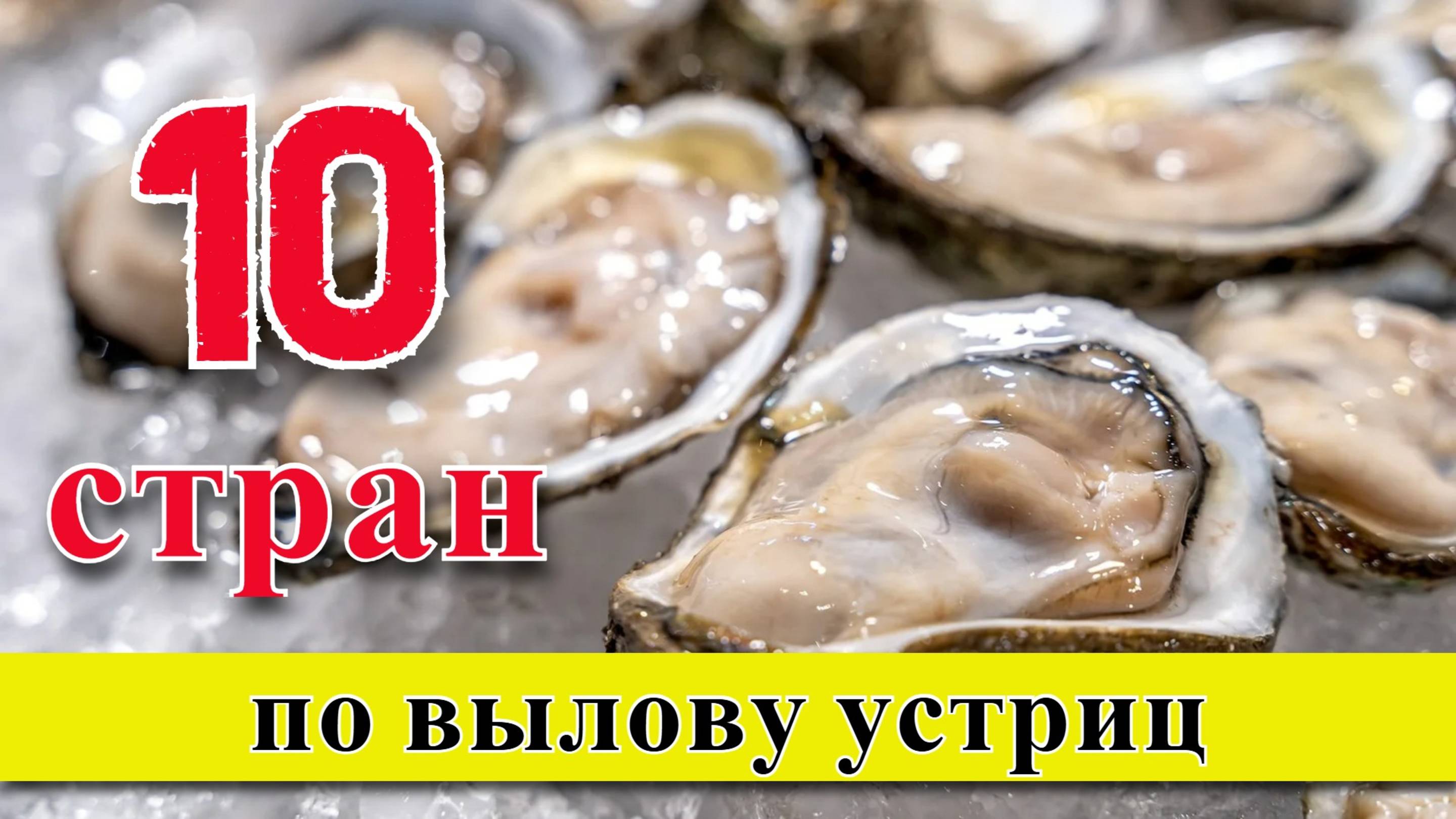 УСТРИЦЫ: ТОП 10 стран по вылову устриц (1950–2023)
