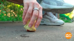 Быстро поднятое упавшим не считается? Доброе утро. Суббота. Фрагмент выпуска от 21.06.2025