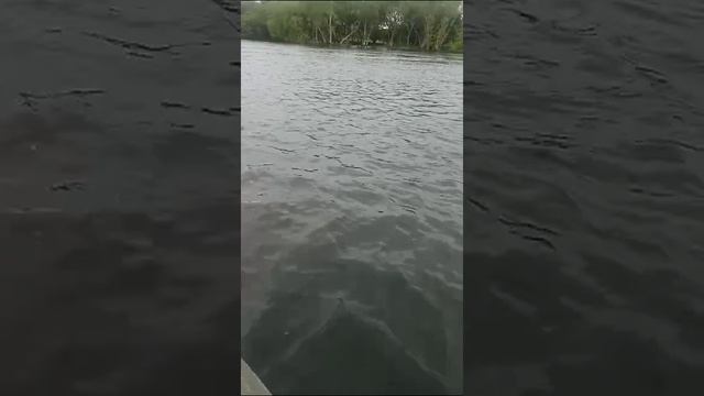 Павел, спасибо за отчёт 😎👍