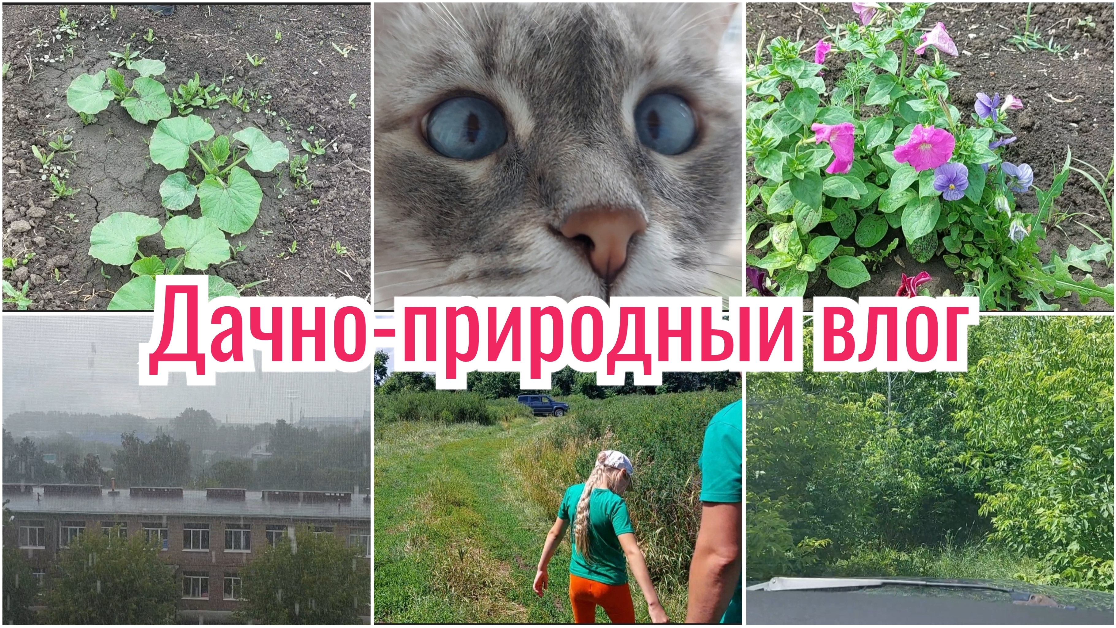 КАК ДЕЛА В САДУ 👍 // НОВАЯ ДОРОГА // ВКУСНЫЙ ОБЕД // ПОЕХАЛИ ЗА ГРИБАМИ ИЛИ ЗА КЛЕЩАМИ 🫣