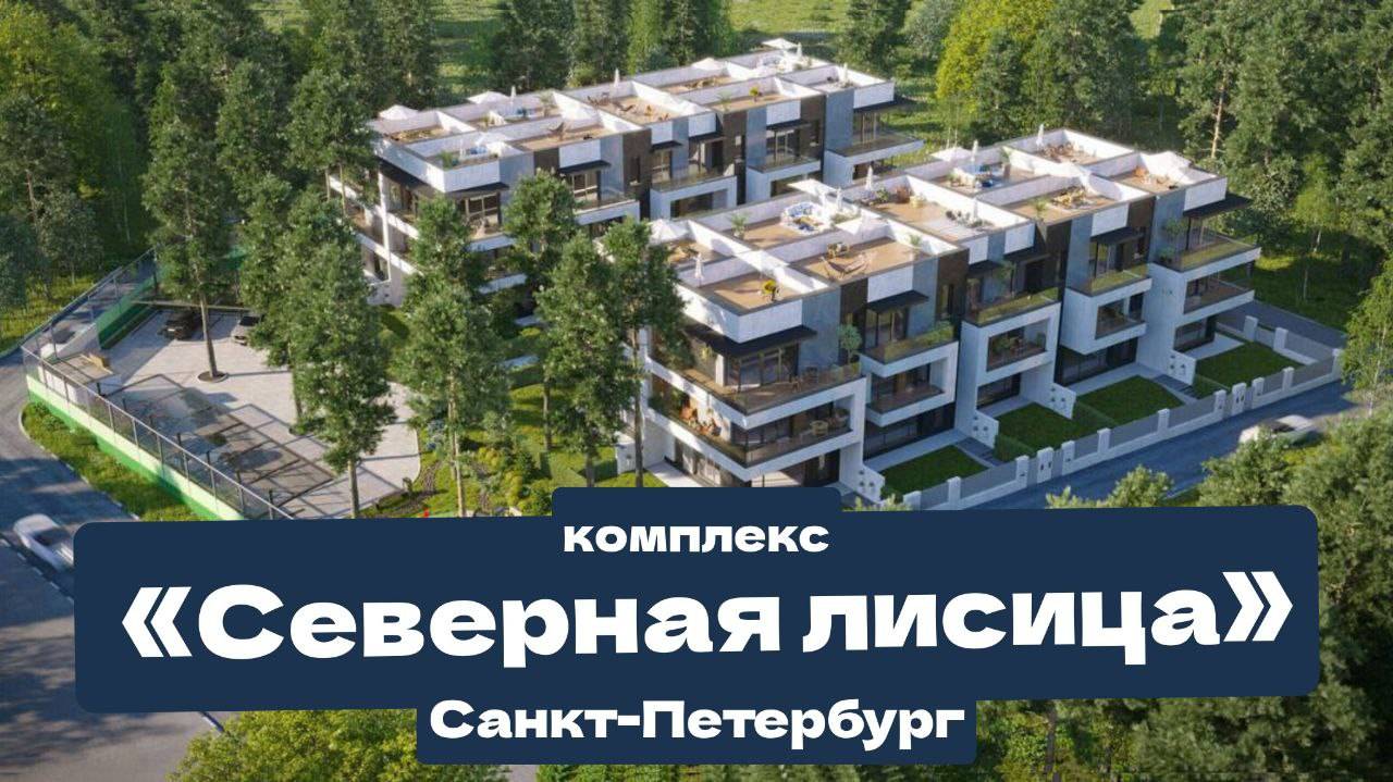 Самые перспективные Таунхаусы в Санкт-Петербурге! Комплекс «Северная Лисица» у Финского залива. смотреть онлайн