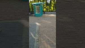 В Бабушкинском парке VцID_20250621_181419
