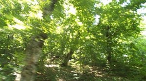 DSCN8067Железноводск июнь 2025 Аллея любви ,обзорная вокруг горы Железной.