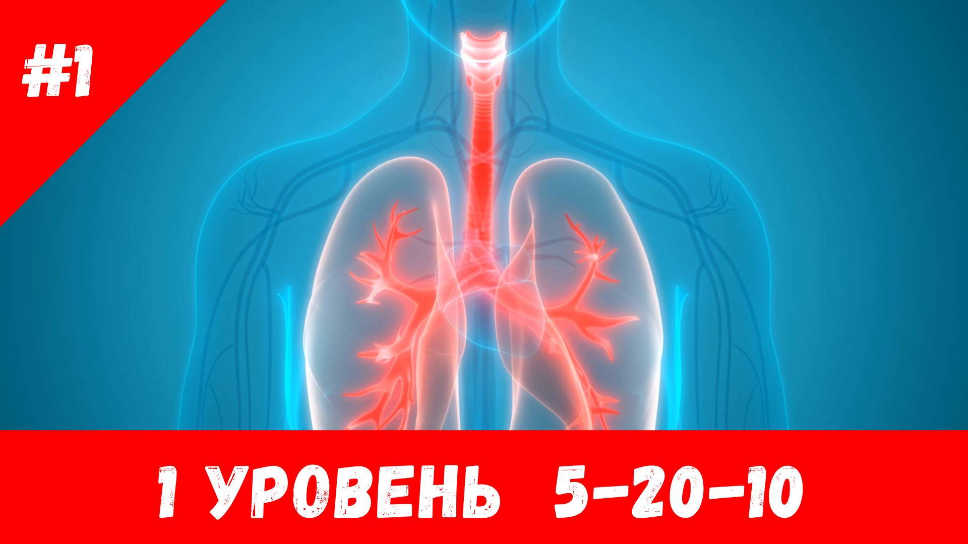 ДЫХАТЕЛЬНАЯ ГИМНАСТИКА | 1 УРОВЕНЬ 5-20-10 | АНУЛОМА-ВИЛОМА | КАК СТАТЬ БОГОМ