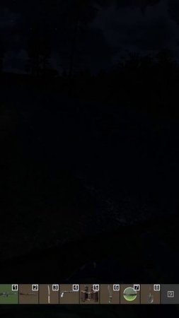 DayZ, за что?