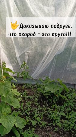 Покупай огород! 👋