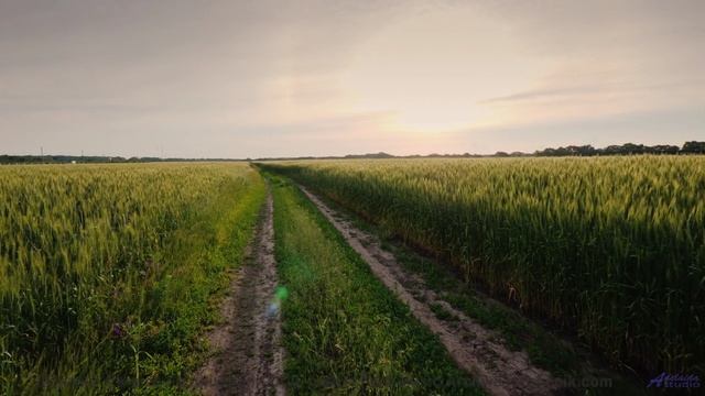 Поля и мелодия проникают под кожу мгновенно - No No No feat. Oilwell -- Phillip Gross -- Jupiter