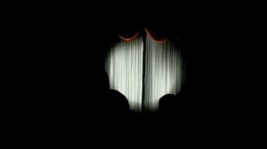 присоединяйтесь к вечеринке Бону