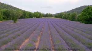 Это видео - как глоток чистого воздуха и энергии! - Circus Wagons (comic idiots) -- Keshco -- Filmma