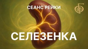 Селезенка. Сеанс рейки