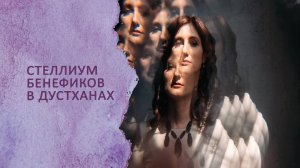 Стеллиум бенефиков в дустханах