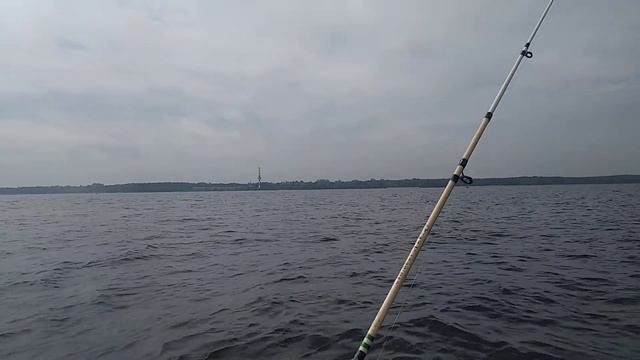 Рыбалка на Финском заливе. Отчёт за 16.05.2021. ЮБРЛС.