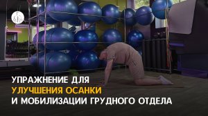 Упражнение "Кошка - корова" для улучшения осанки и мобилизации грудного отдела