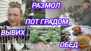РАЗМОЛ ЗЕРНА. ПОТ ГРАДОМ. ВЫВИХ НОЖКИ. ОБЕД