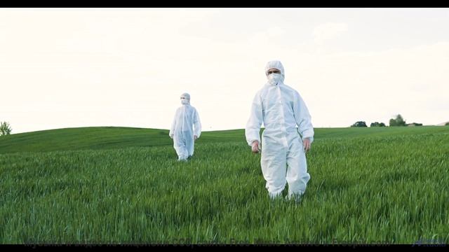Эта композиция - как шёпот в темноте, от которого дрожь... - Kid Is Frangin -- Podington Bear -- Mee