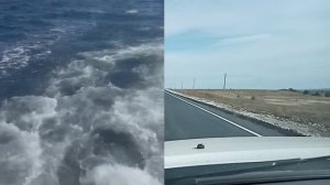 ЗА  БАРАКУДОЙ И КРАБОМ