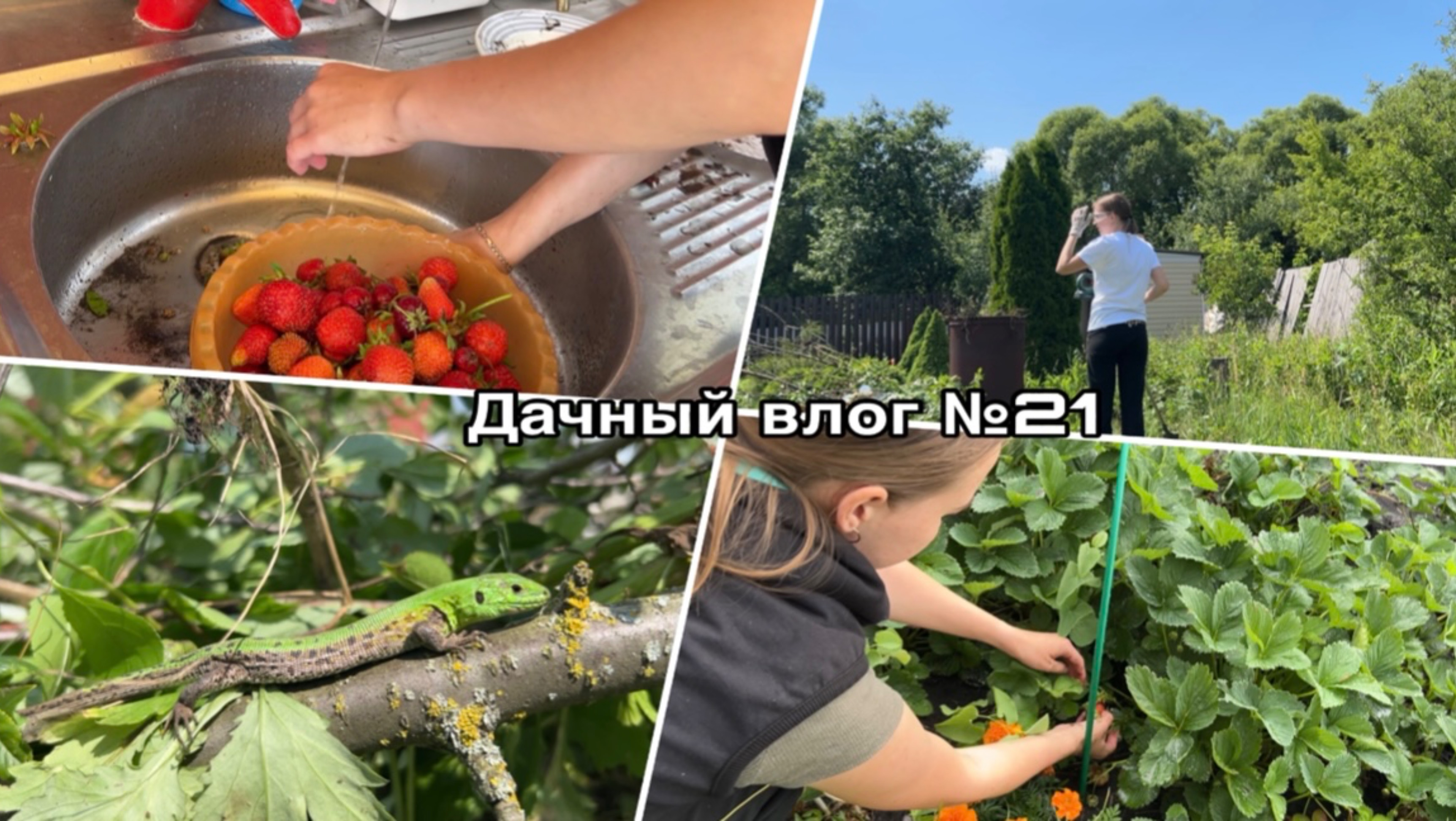 Дачный влог №21 🍓 Расчищаю заброшенную часть участка| Что с погодой!?