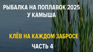 Рыбалка на поплавок 2025 у камыша — клёв на каждом забросе ЧАСТЬ 4