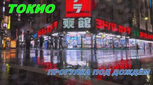 Токио. Прогулка дождливой ночью  по району Синдзюку.