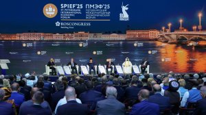 Владимир Путин принял участие в пленарном заседании XXVIII ПМЭФ, Санкт-Петербург, 20 июня 2025 года