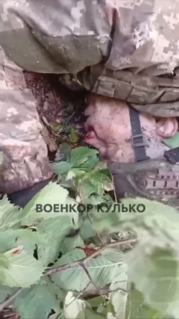 Сумская область наш боец в одиночку размотал хохлов