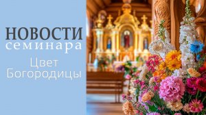 Субботний Эфир