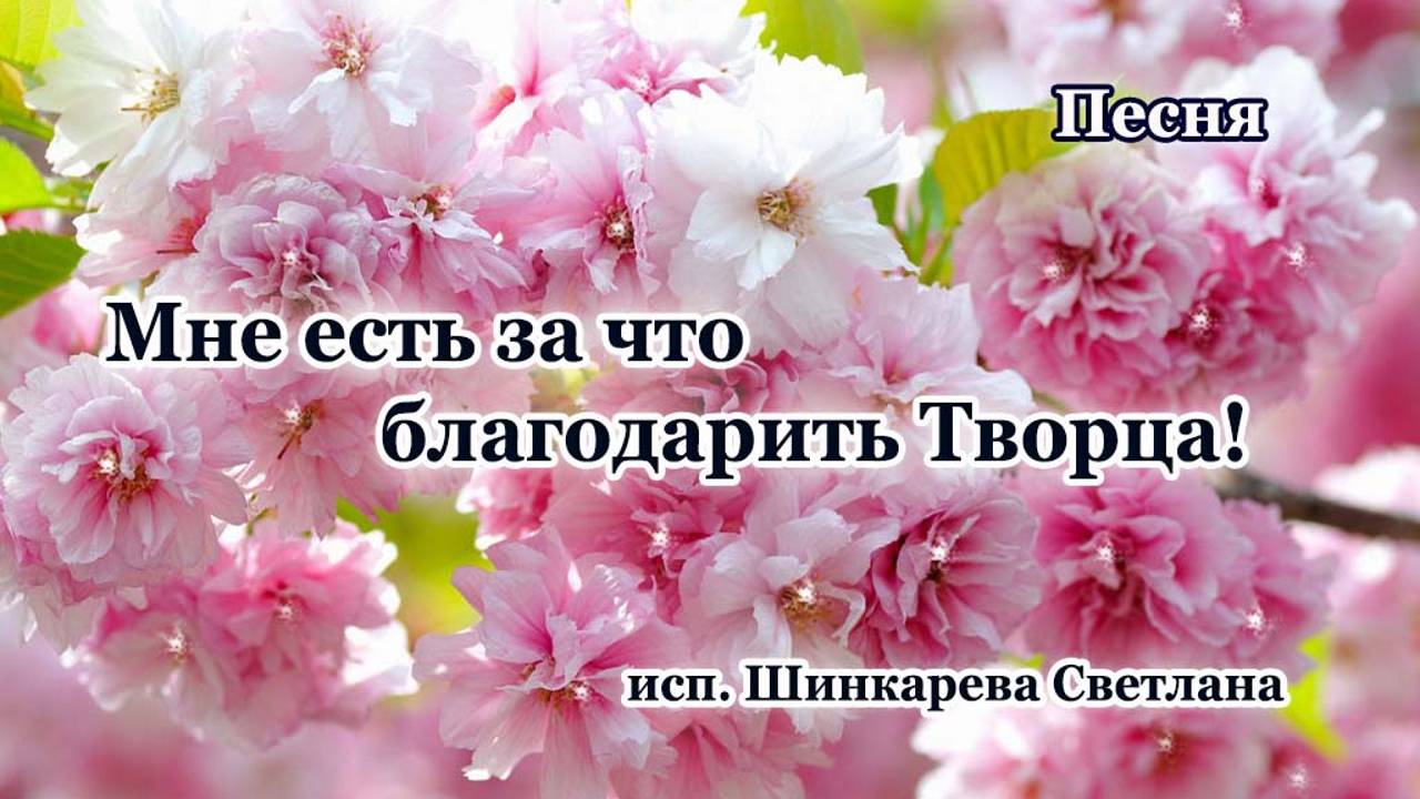 "Мне есть за что благодарить Творца" Песня, исп. Шинкарева Светлана