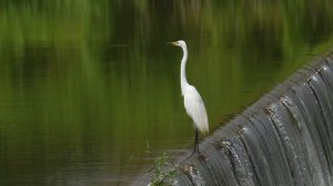 Магия водопадов ч.32