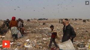 "Мусорный Эверест": почему Индия утопает в грязи