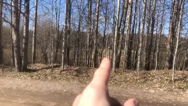 Участок у Гладышевского озера 2,8 га