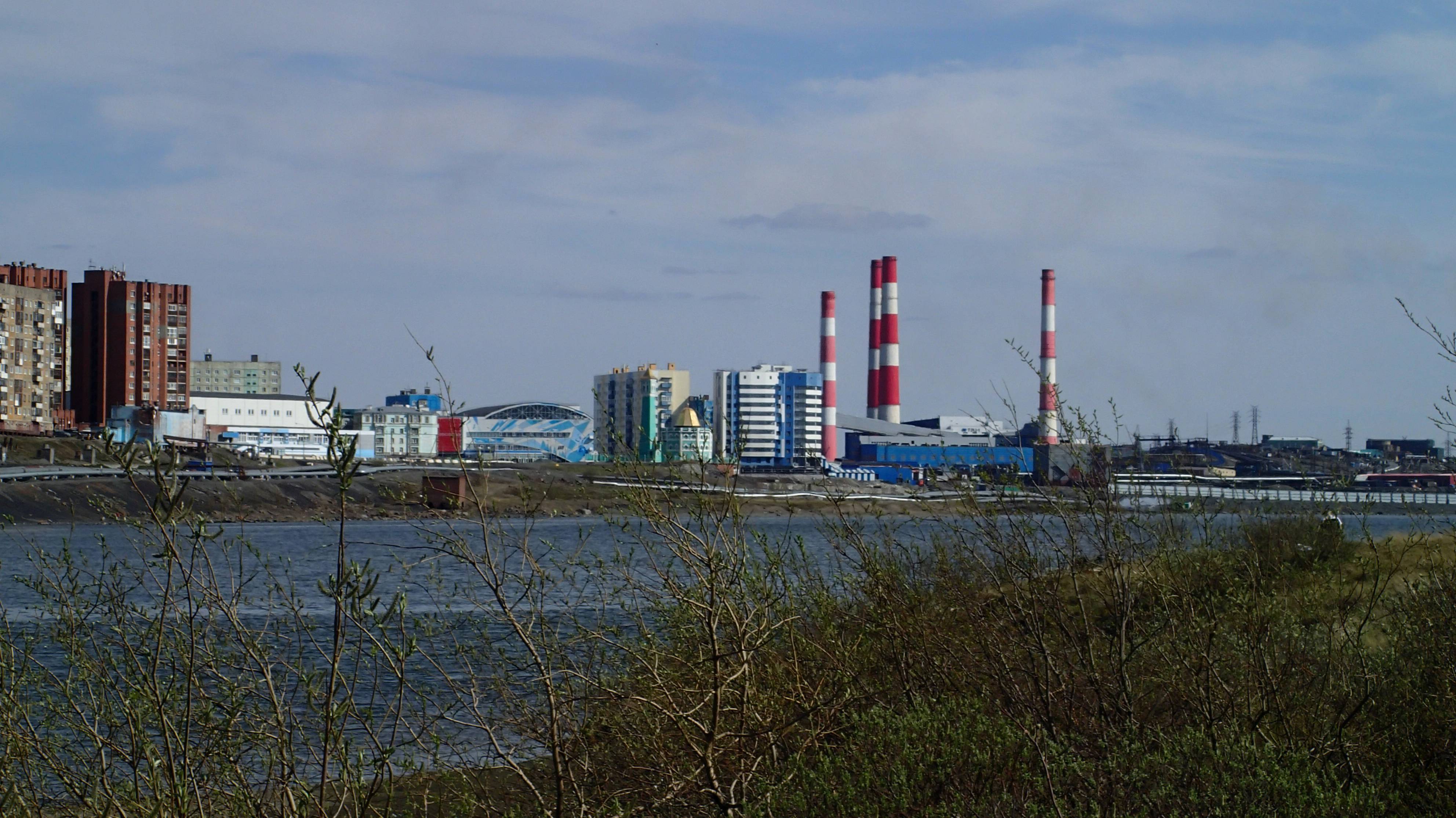 2025.06.20. Норильск. оз. Долгое. Лето в разгаре. Остролодочник.