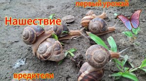 Переезд из Сибири на юг. Купили дом на юге. Наслаждаемся южной жизнью. 💖6 серия