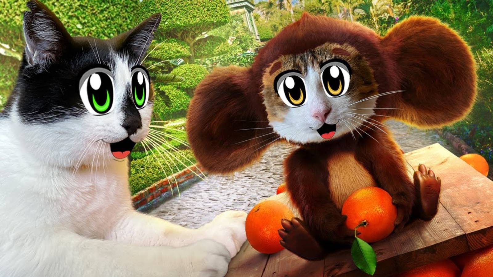 3 СПОСОБА ПРАНКАНУТЬ КОТОВ А ну-ка Давай-ка ! ЧЕБУРАШКА В РЕАЛЬНОЙ ЖИЗНИ! СМЕШНЫЕ КОТИКИ ЮГИ И ЯНИ