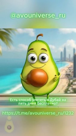 Пять дней в Дубае бесплатно!