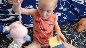 распаковка стича