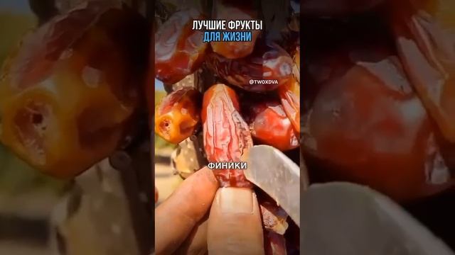 ЛУЧШИЕ ФРУКТЫ.